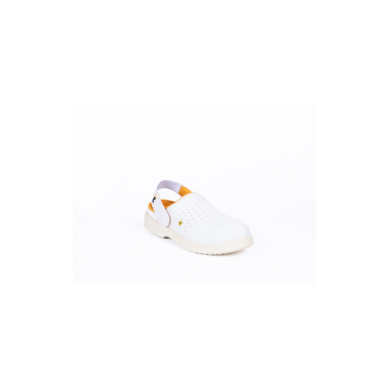 RAVEN ESD OB SRC saboty